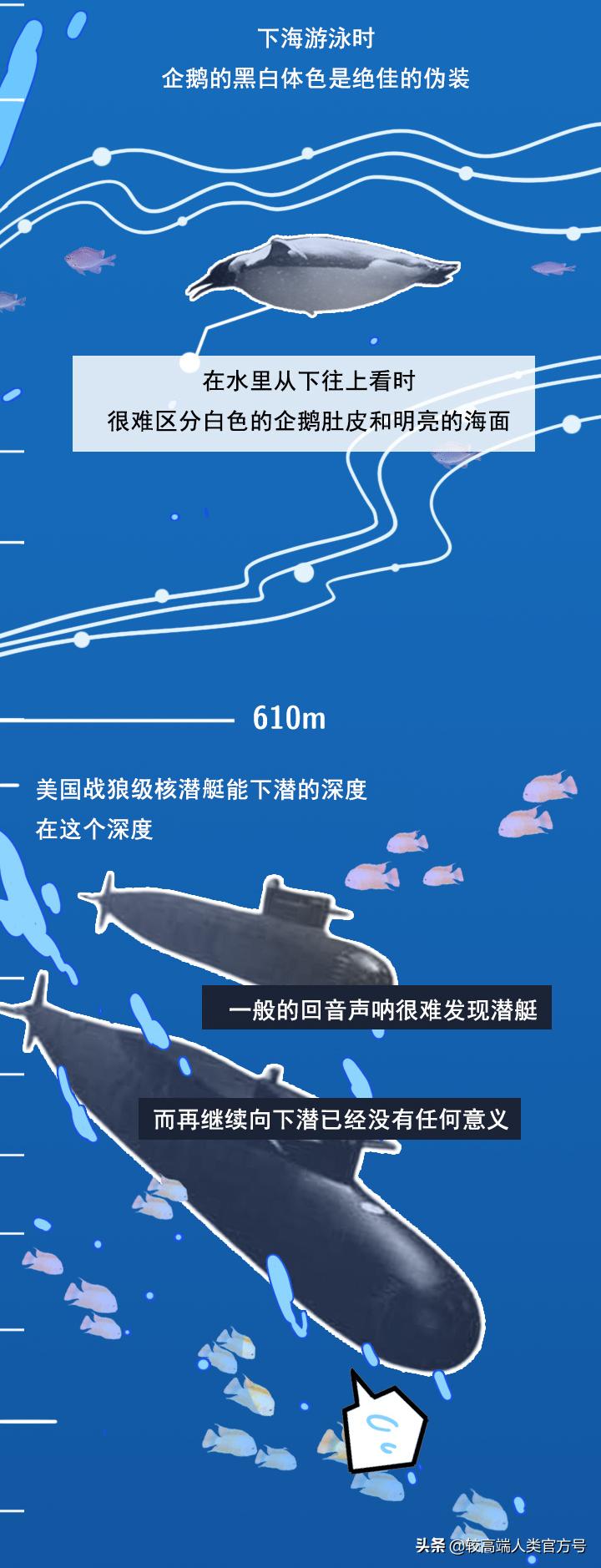 手机掉进水里十几秒有问题吗,手机掉入1000米