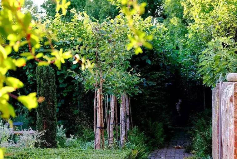 他经历破产、抑郁，却被植物治愈，成为BBC王牌节目主持人