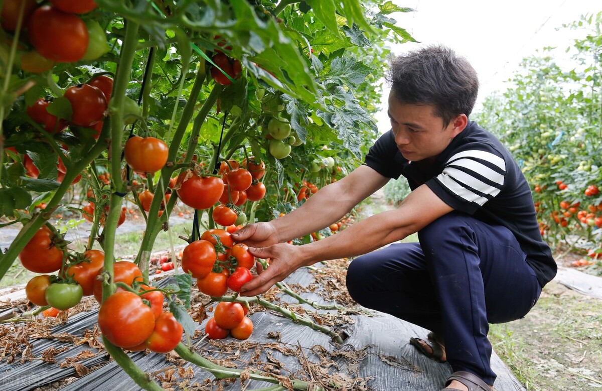 广西农业外资项目管理中心推进农业外贸项目实施助力乡村振兴