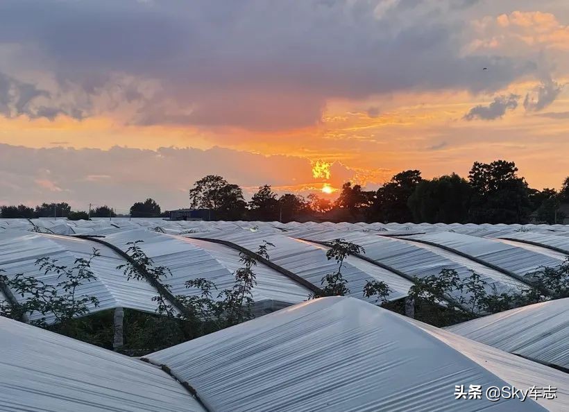 7天3000公里,宝马x57000公里发现烧机油