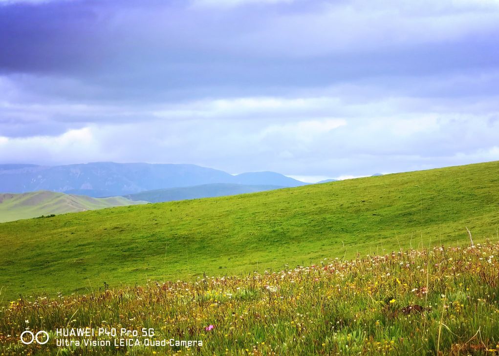 一条绝美草原之路,一条绝美的自驾公路