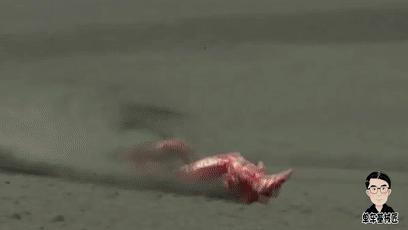 世界上最快，最气动的速降自行车，有人用它达到了223.3km每小时