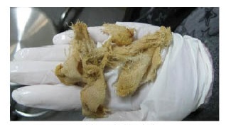 猫吃了针线怎么才能拉出来,猫吃了缝衣服的针