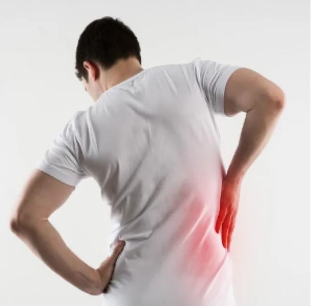 马钱子的前世今生：宫斗剧中的热门毒药，竟是治腰痛良药