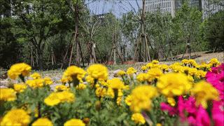 cbd白领生活,北京cbd白领下班回家