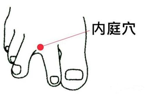 胃热吃什么食物调理快,胃热吃什么食物调理最快最好