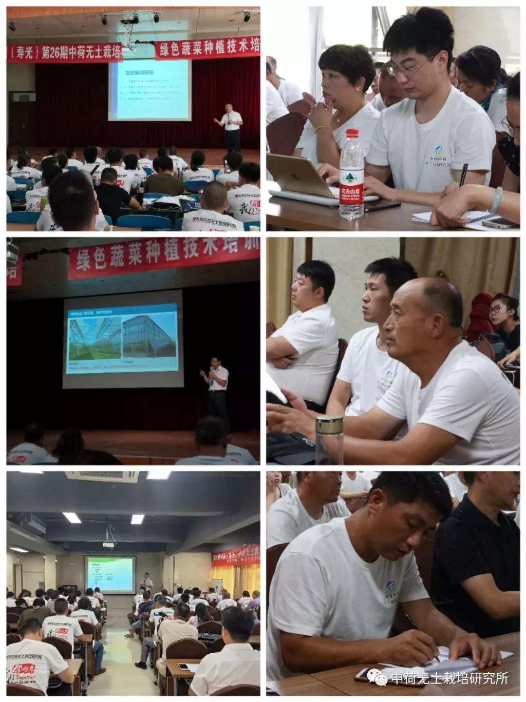 寿光无土栽培蔬菜技术培训书,寿光蔬菜无土栽培培训班