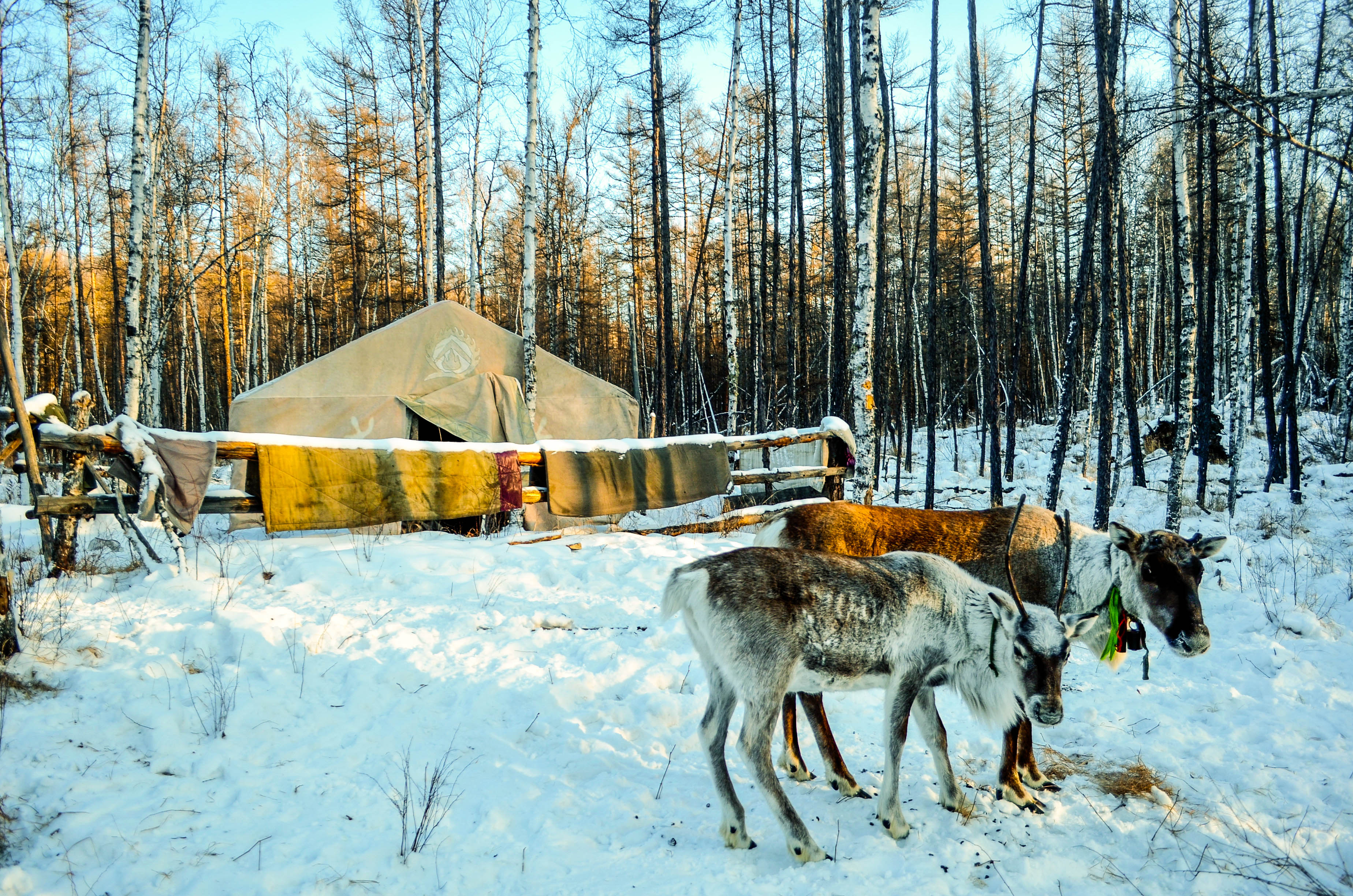 探访最冷的地方,中国最冷的地方零下80度去旅行