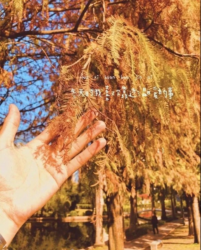 2023年厦门自由行热门攻略,厦门春节旅游攻略自由行最佳路线