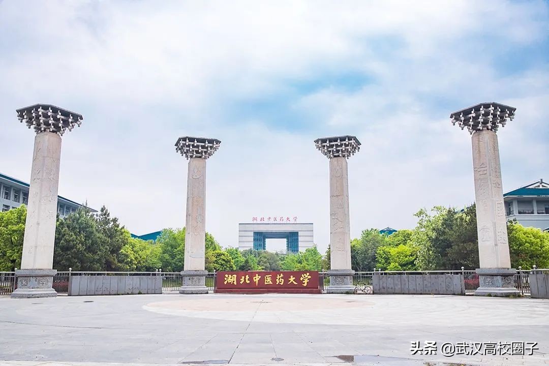 爸妈我想回家视频,爸妈我想回家了原视频