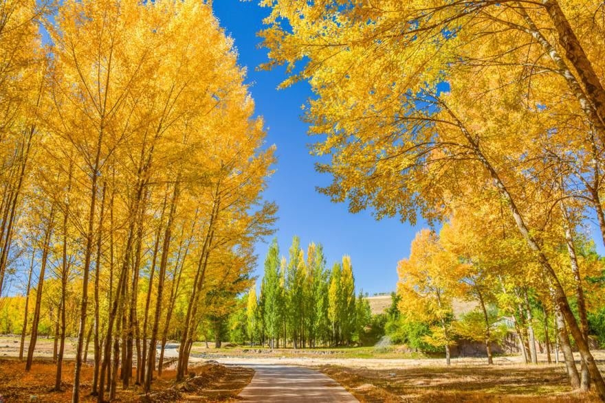 值得自驾游的七条路线,吹爆这4条自驾游线路