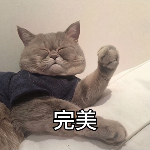 学员左右不分的搞笑教学,驾校学员左右不分