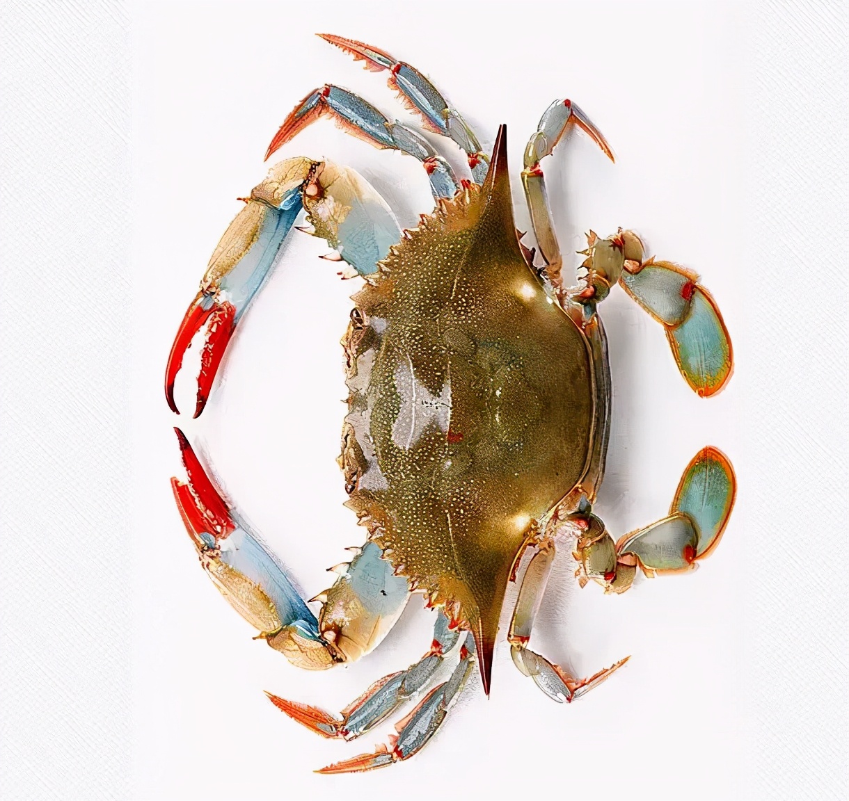 出境飞机禁带物品一览表,乘机小贴士免费