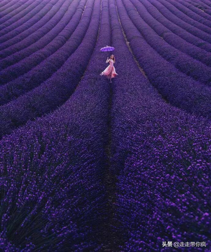 世界十大最美旅游地,最想去的旅游地方英文