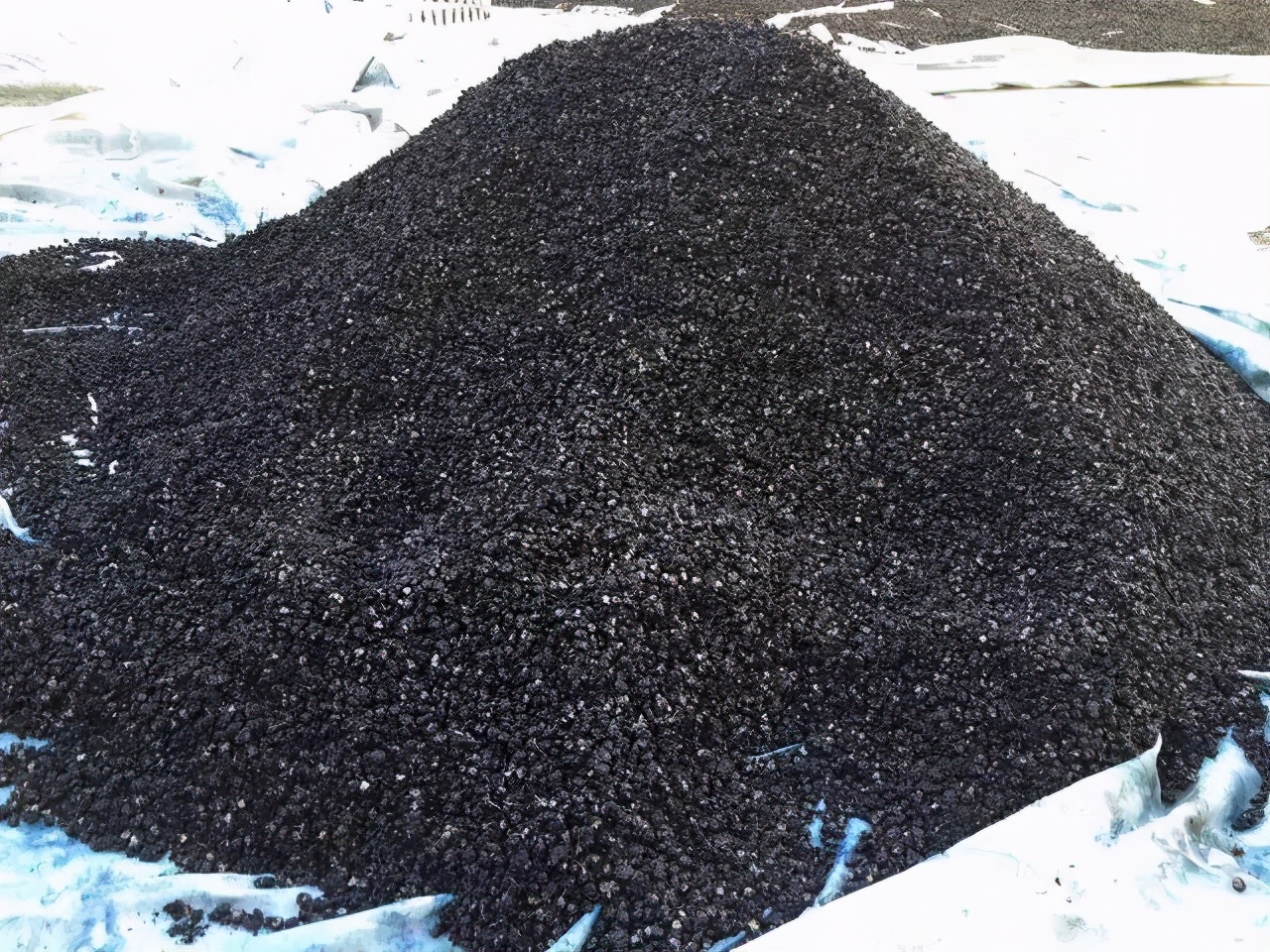 软黄金种植技术和收入,农村小伙种植黄金果年均收入50万