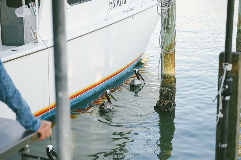 佛罗里达阳光之州,美国阳光之州佛罗里达