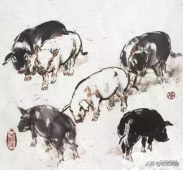 小朋友画猪简单又好看,猪年画猪中国画