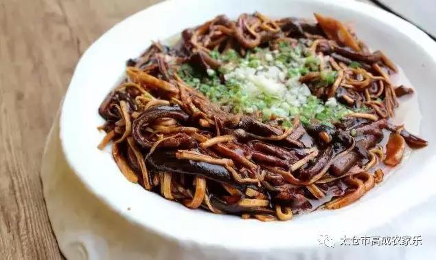 太仓浏河镇农家乐,苏州太仓高成农家乐