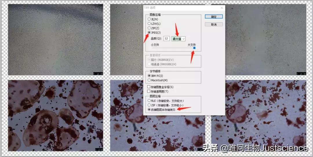 科学减肥论文封面排版,期刊论文图片如何排版