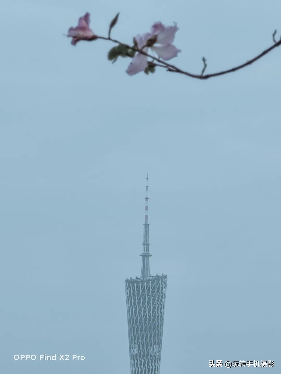 oppo拍照与苹果对比,哎哟不错哦周杰伦试听