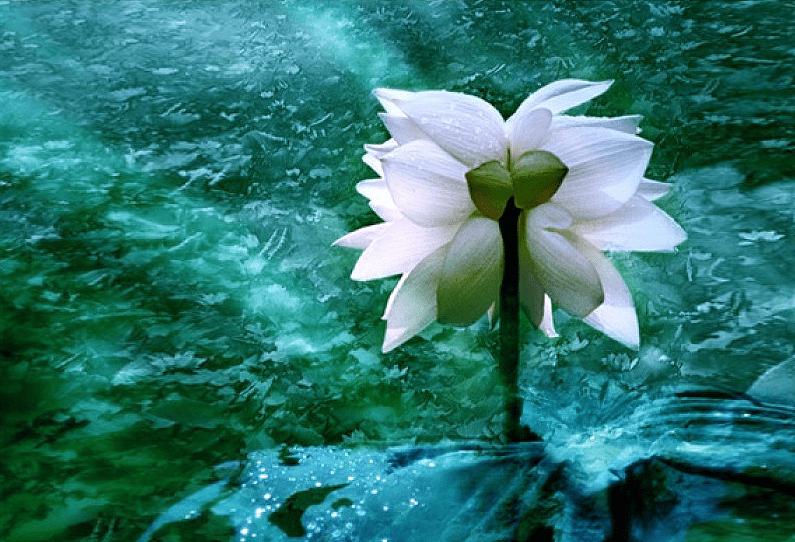 广州恒大新足球场最新建设,广州恒大新足球场建设进度