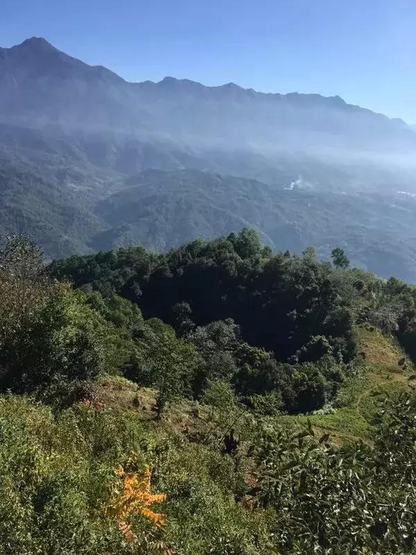 冬日浪漫初体验开启樱花谷神秘之旅