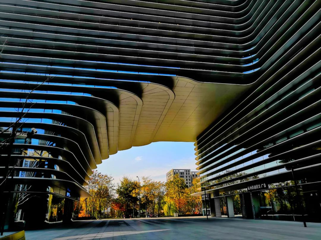 在展动力工作超过3年是什么样的体验?