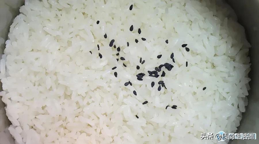 口碑最好的8个加热饭盒,超级方便的电热饭盒推荐