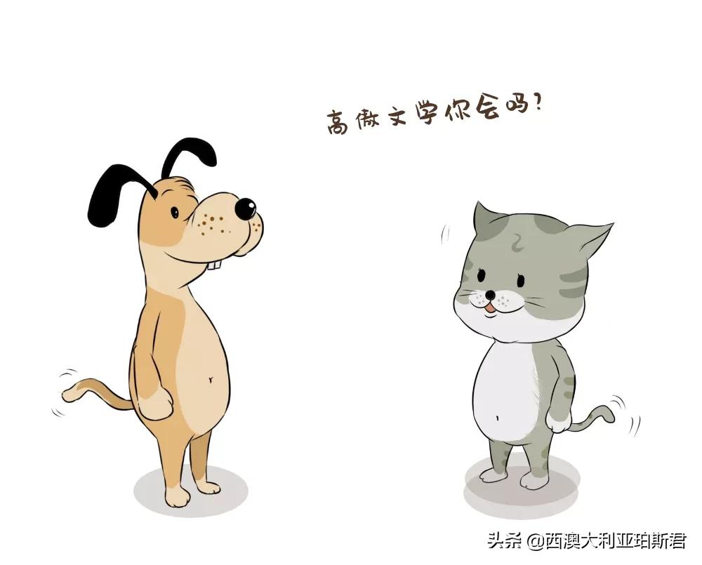 这个梗火爆全网？既然提到privilege，那就说说西澳人的高傲在哪