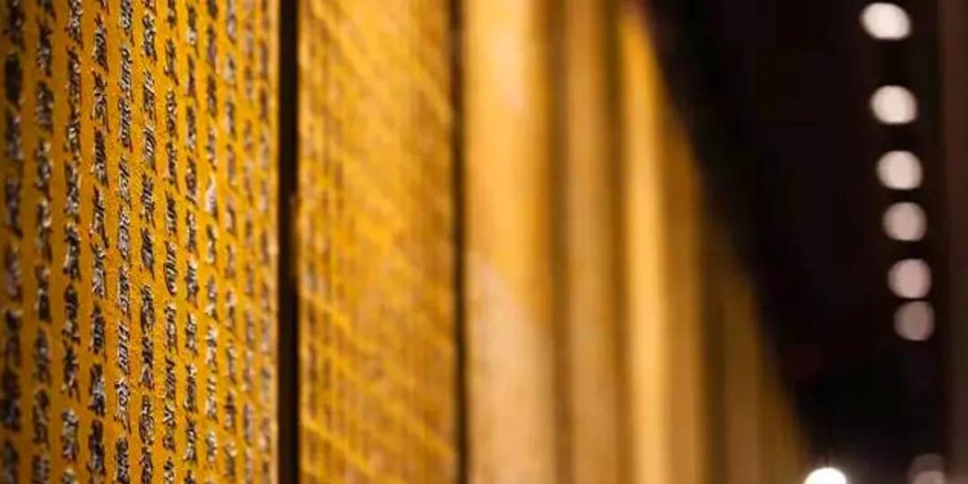 维美品牌│中赛照明：把太阳公公请回家