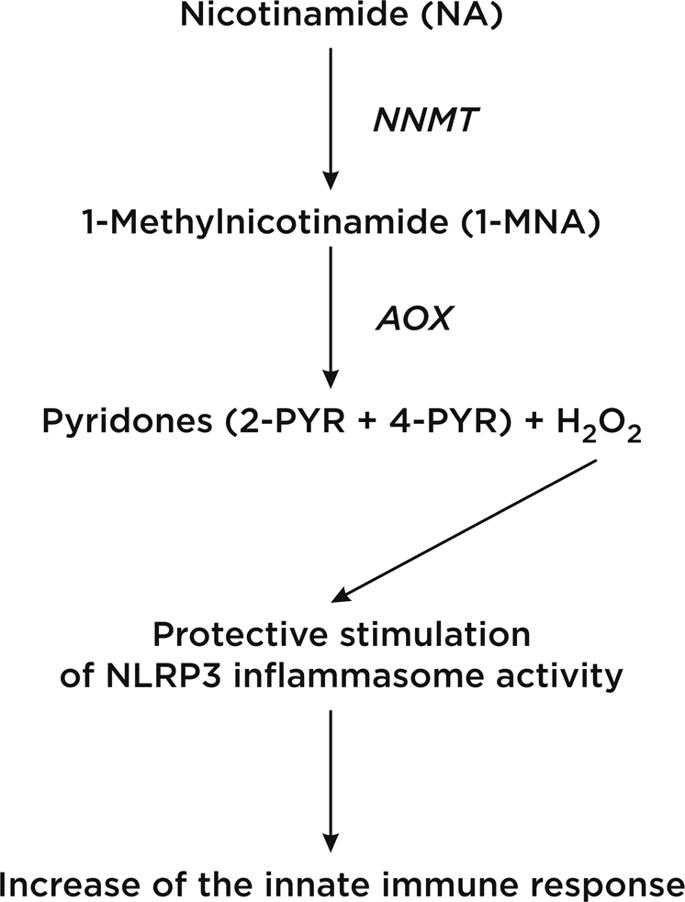 COVID-19免疫球蛋白作用,抗COVID-19免疫球蛋白