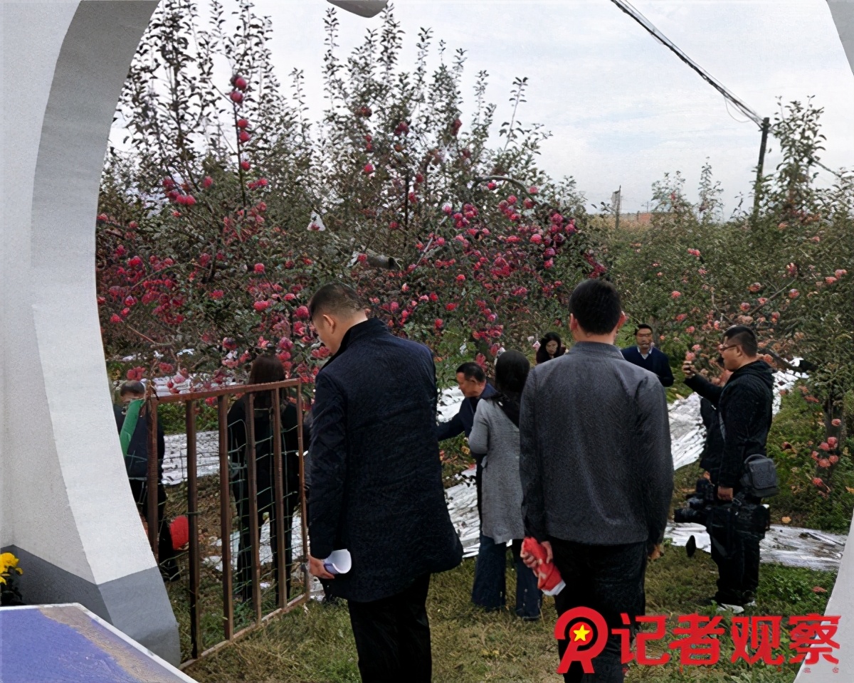 苹果小镇体验基地,吉县苹果体验中心