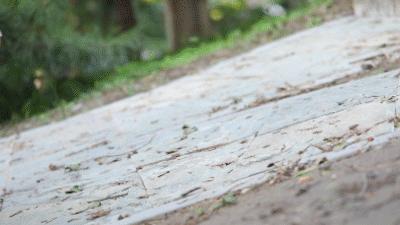 性价比高的跑鞋刀锋鞋,刀锋鞋底潮流跑鞋