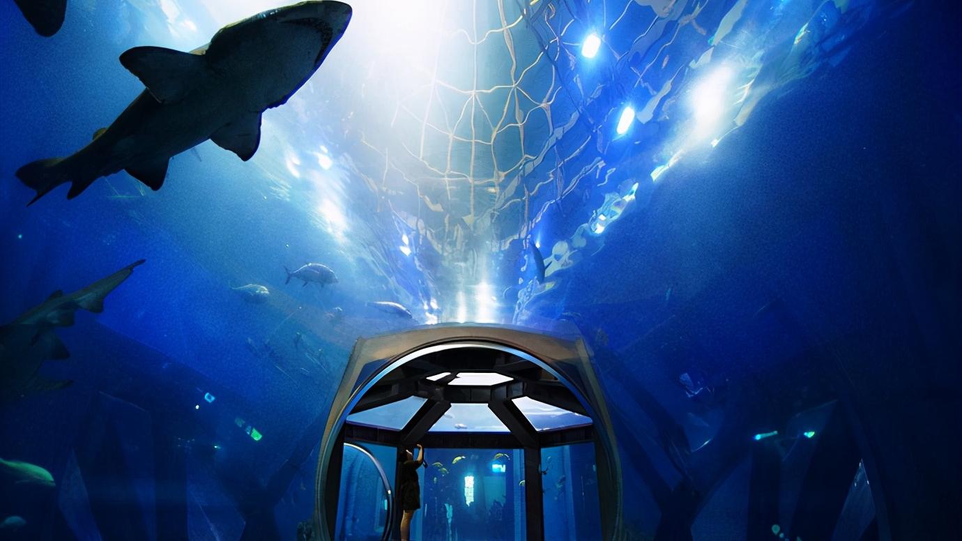 辽宁省大连市几个区,浅谈34个省市之江苏