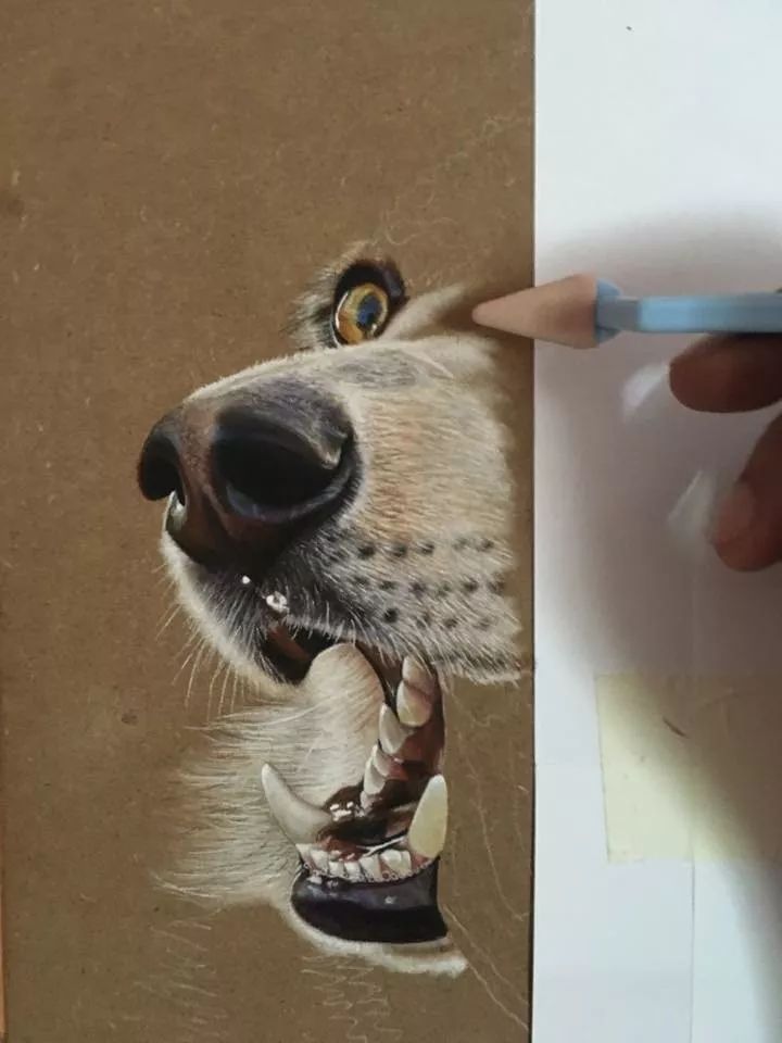 3d立体画写实彩铅,超写实彩铅手绘细腻的让人咋舌