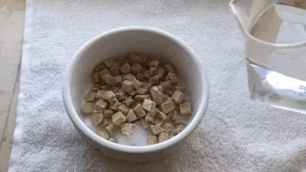 一定要喂猫咪吃冻干的理由!这样吃效果最佳,远胜干湿粮