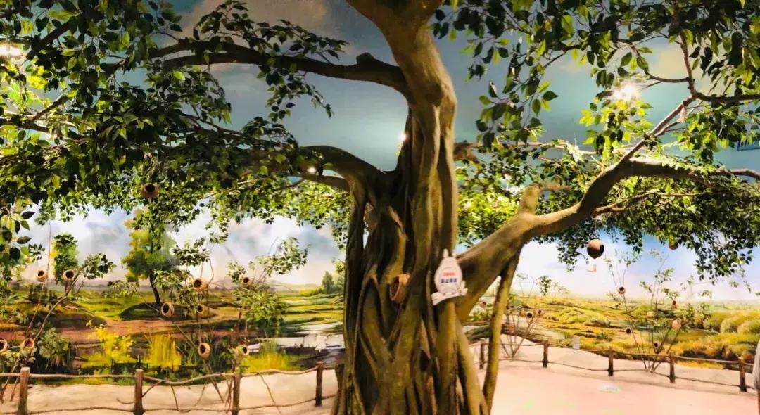 郑州奥林匹克公园萌宠乐园,郑州萌宠乐园长什么样子