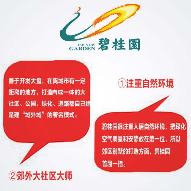 中国房地产开发商大的有哪些,各家房地产开发商特点