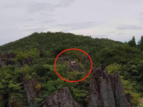 抓拍、P图、集资和出道，被逼出来的神仙技能，明星站姐太强大！