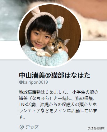 救助流浪猫要掌握正确方法,流浪猫正确的救助方式