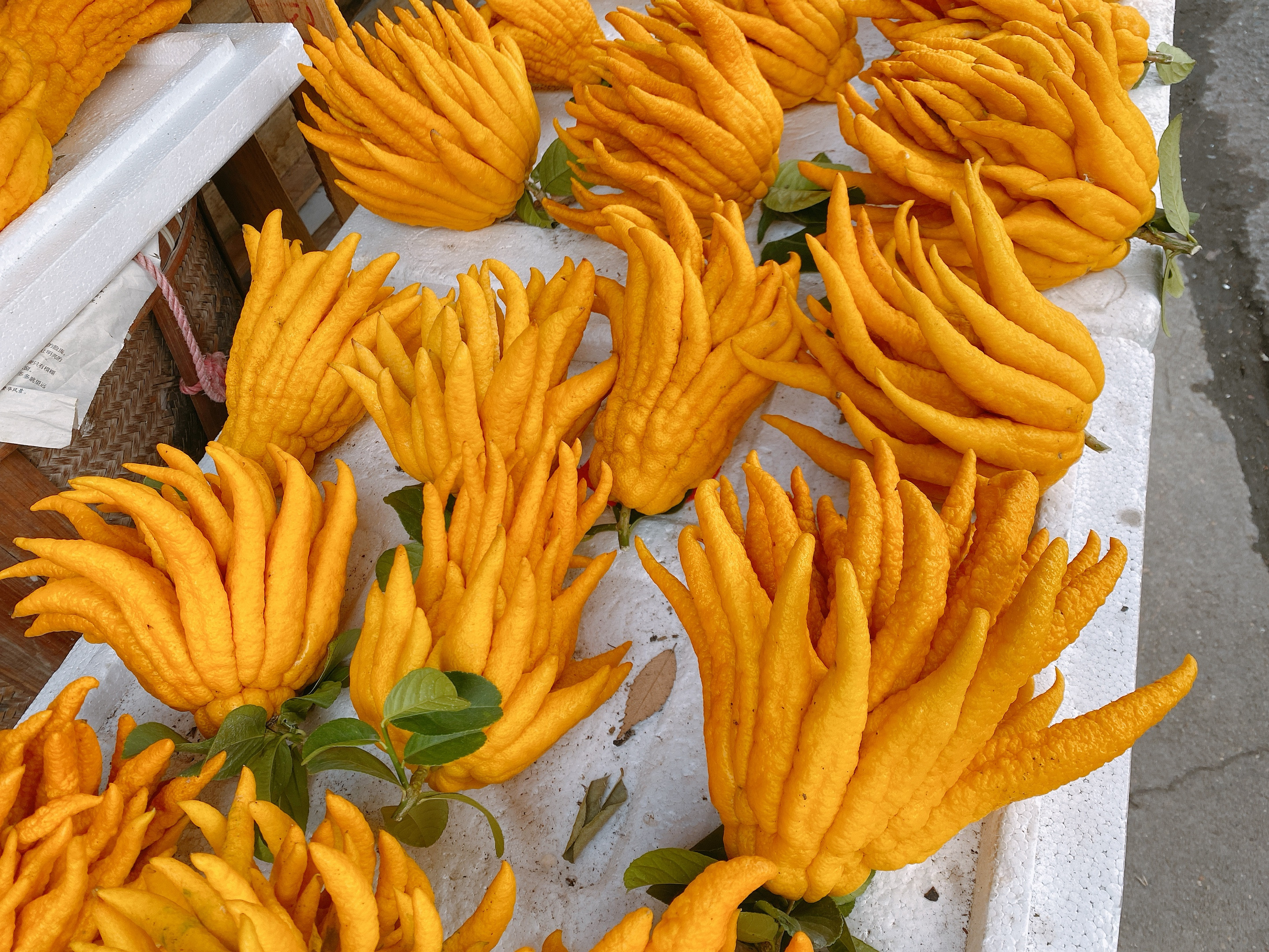 过年了，准备点金佛手，喜庆而且用处多，能泡茶做果干还能泡酒