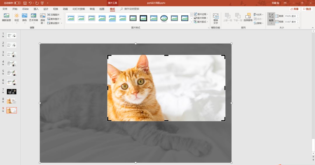 如何用ppt进行裁剪,ppt图片裁剪工具