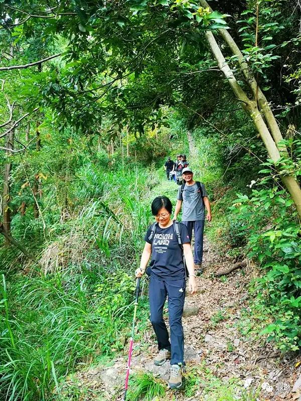 乐清仙溪有哪里好玩的 (乐清仙溪镇景点)