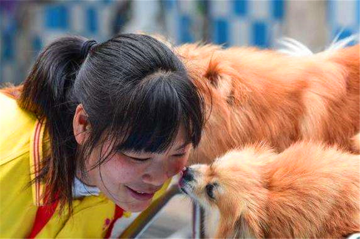 鐙楃嫍浜蹭富浜烘槸涓嶆槸鐙楃嫍鍠滄涓讳汉,鐙楃嫍浜蹭富浜烘槸鍦ㄨ〃杈剧埍鎰忓悧