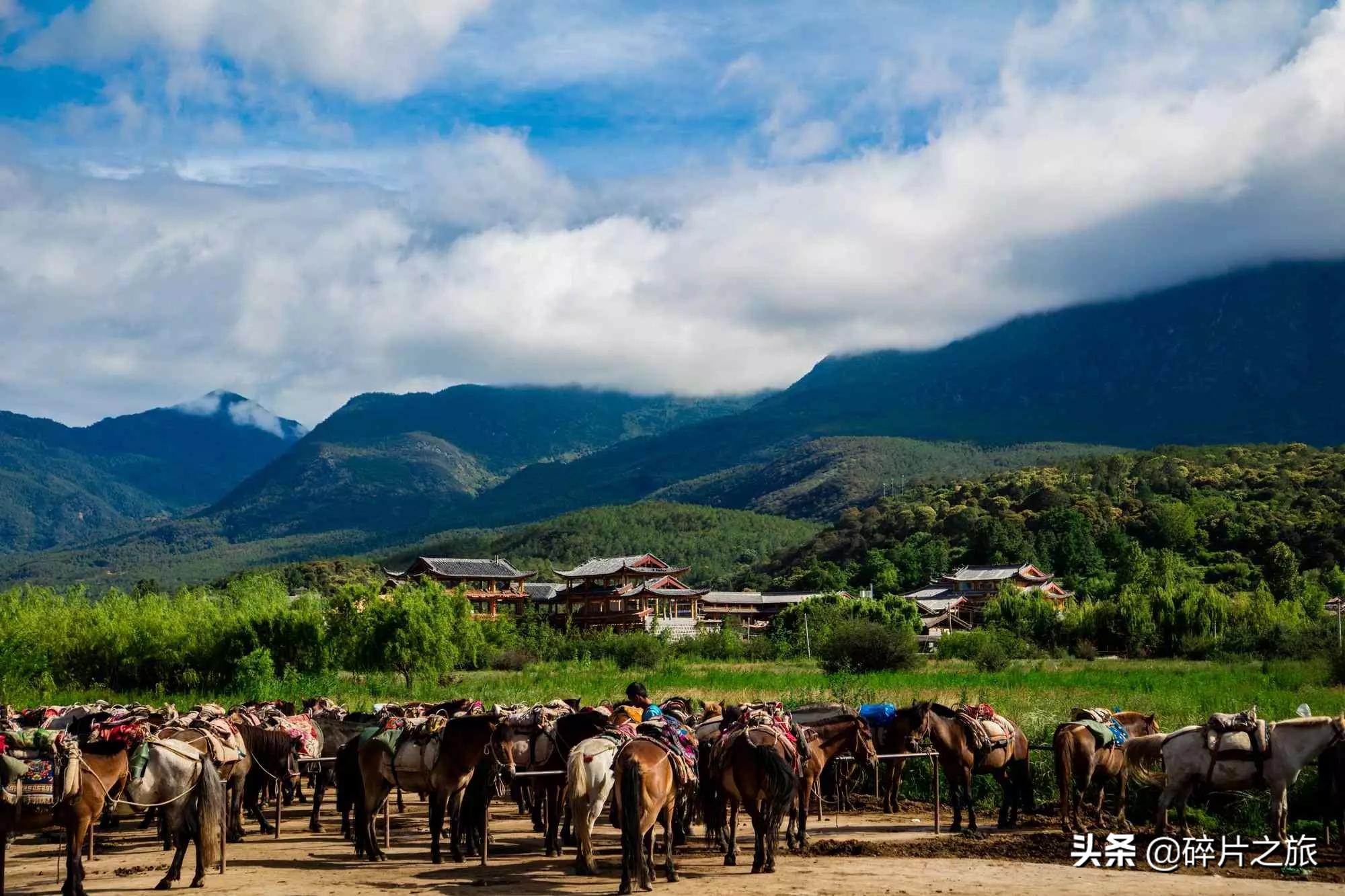 云南九日游纯玩团,云南九日游最佳路线
