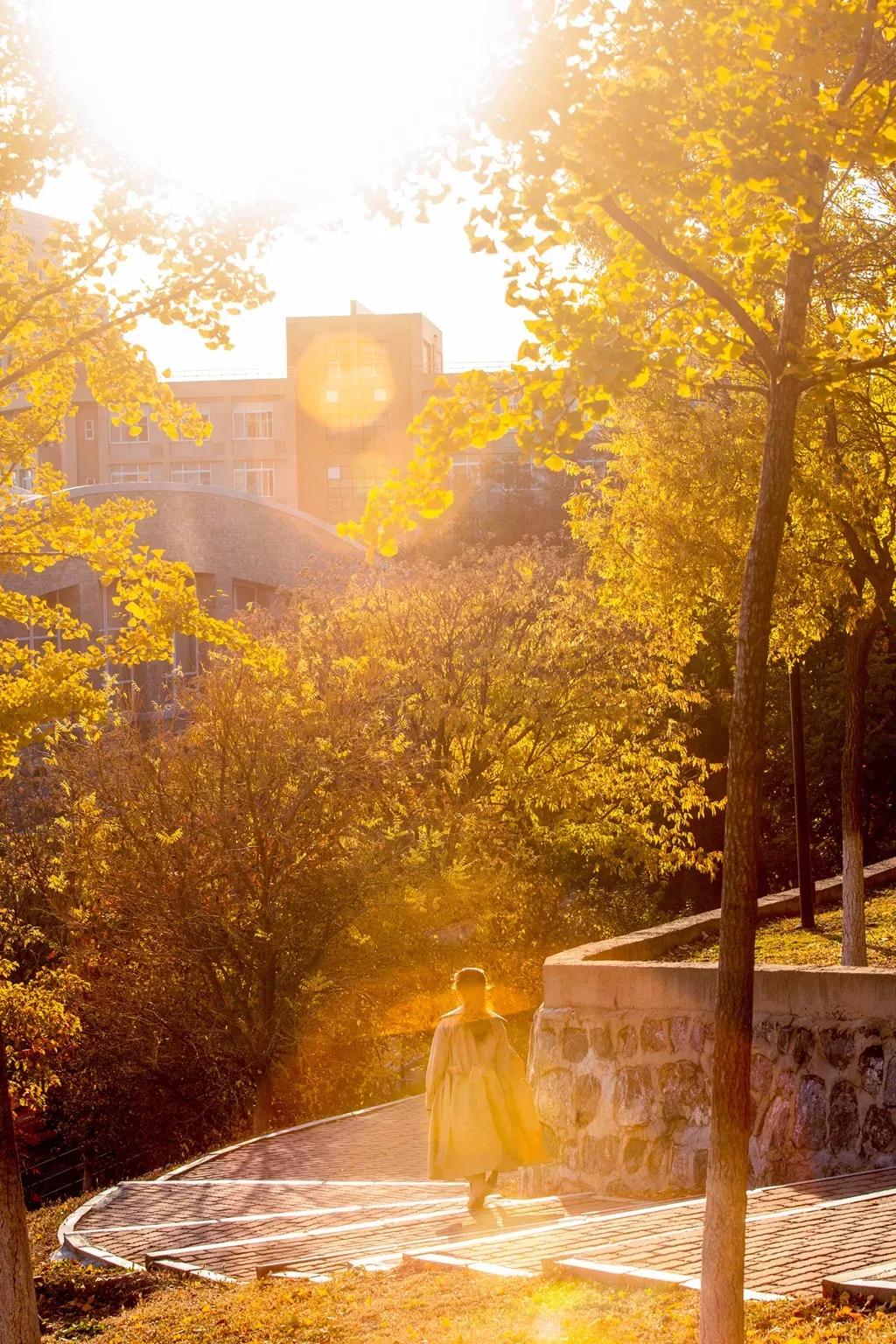 辽宁大连民办大学,大连辽宁二本大学