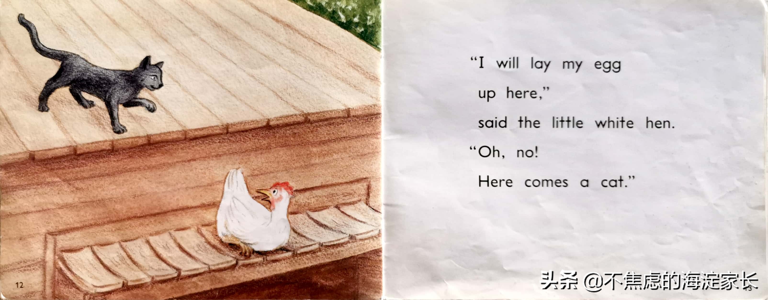 二年级新西兰本土读物,新西兰一年级小学生读物