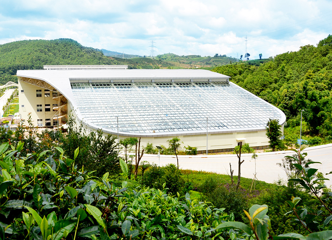 高端糯米香普洱茶,帝泊洱普洱茶糯米香