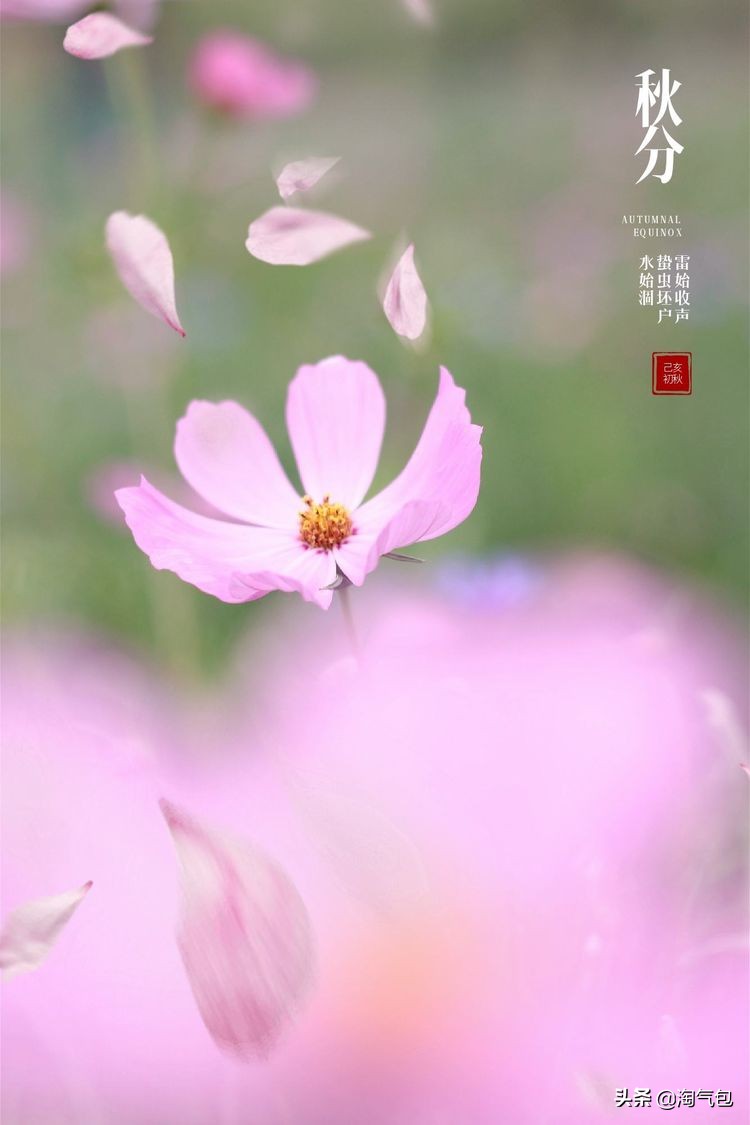 秋分愿生活恰如其分,人生恰如秋分生活恰如其分