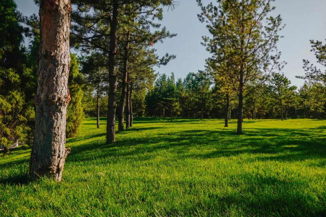 驾驶长安UNI-K从榆林启程一路北上鄂尔多斯观茫茫大漠